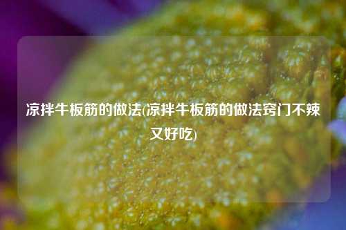 凉拌牛板筋的做法(凉拌牛板筋的做法窍门不辣又好吃)