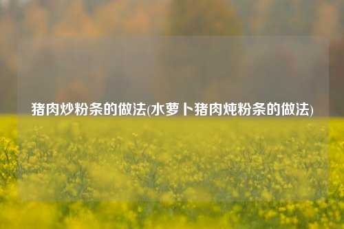 猪肉炒粉条的做法(水萝卜猪肉炖粉条的做法)