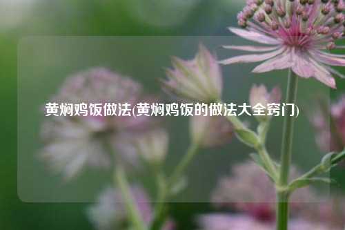 黄焖鸡饭做法(黄焖鸡饭的做法大全窍门)