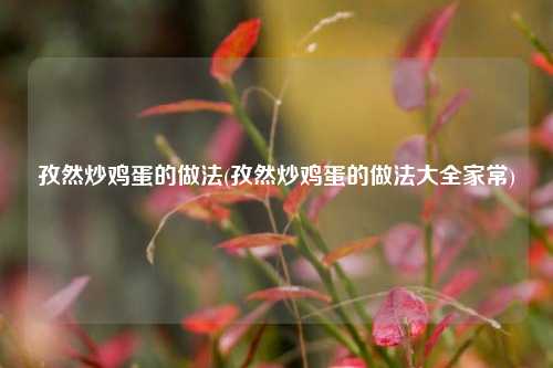孜然炒鸡蛋的做法(孜然炒鸡蛋的做法大全家常)