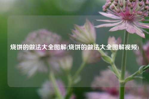 烧饼的做法大全图解(烧饼的做法大全图解视频)