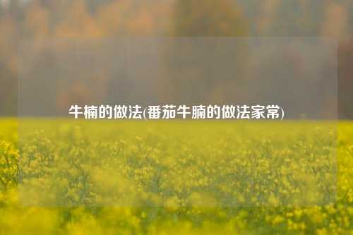 牛楠的做法(番茄牛腩的做法家常)