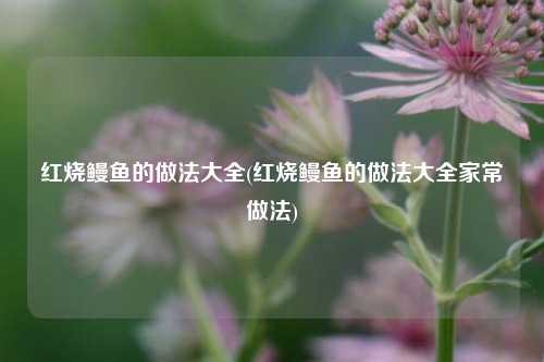 红烧鳗鱼的做法大全(红烧鳗鱼的做法大全家常做法)