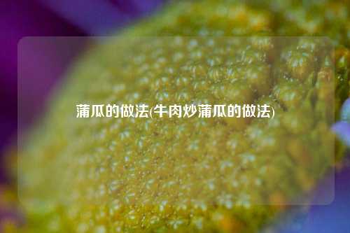 蒲瓜的做法(牛肉炒蒲瓜的做法)