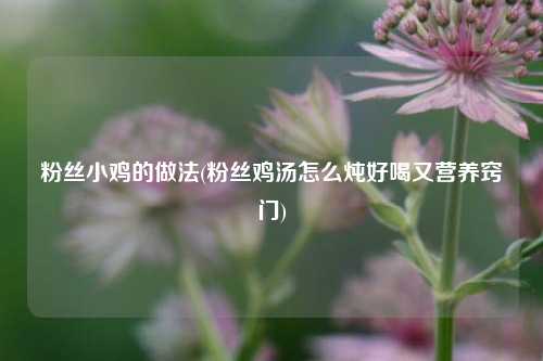 粉丝小鸡的做法(粉丝鸡汤怎么炖好喝又营养窍门)