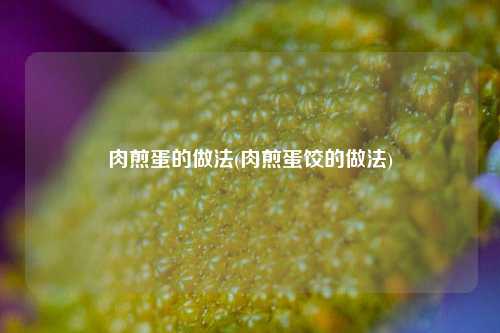 肉煎蛋的做法(肉煎蛋饺的做法)