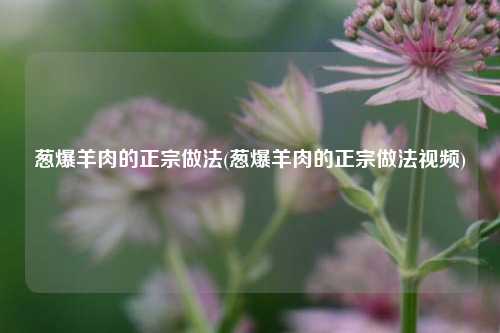 葱爆羊肉的正宗做法(葱爆羊肉的正宗做法视频)