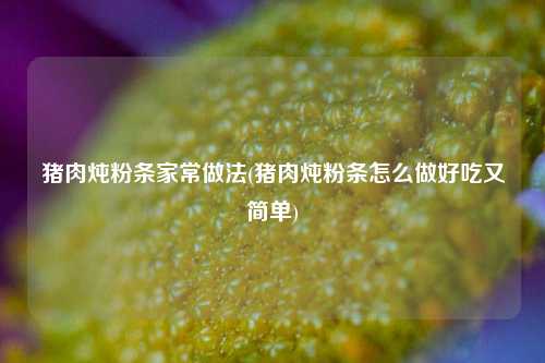 猪肉炖粉条家常做法(猪肉炖粉条怎么做好吃又简单)
