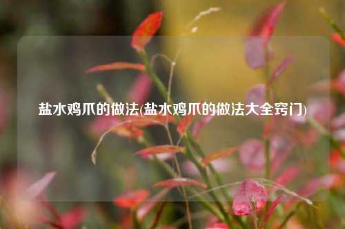 盐水鸡爪的做法(盐水鸡爪的做法大全窍门)