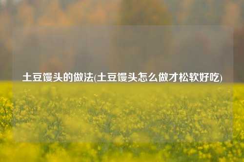 土豆馒头的做法(土豆馒头怎么做才松软好吃)