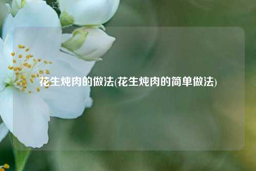 花生炖肉的做法(花生炖肉的简单做法)