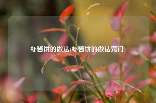 虾酱饼的做法(虾酱饼的做法窍门)